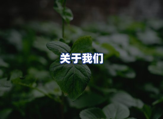专业团队